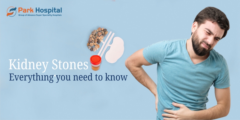 Kidney Stones: Everything You Need To Know