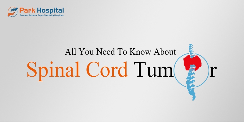 All You Need To Know About Spinal Cord Tumor