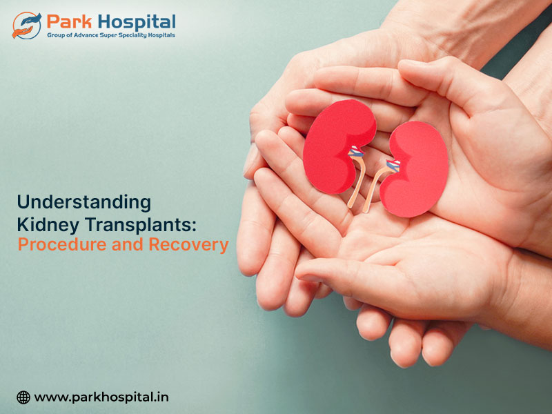 Understanding Kidney Transplants: Procedure and Recovery